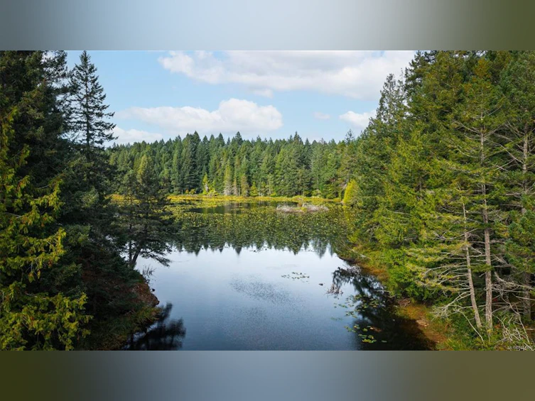 1870 Millstream Road, Highlands, BC, V9B 6E2 - 17
