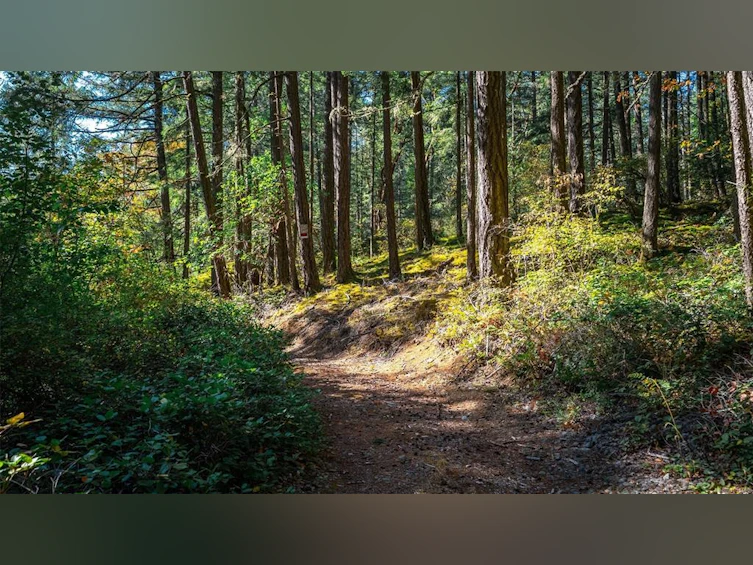 1870 Millstream Road, Highlands, BC, V9B 6E2 - 20