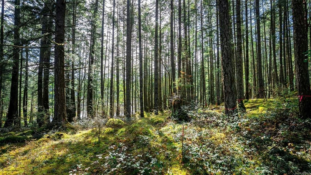 1870 Millstream Road, Highlands, BC, V9B 6E2 - 24