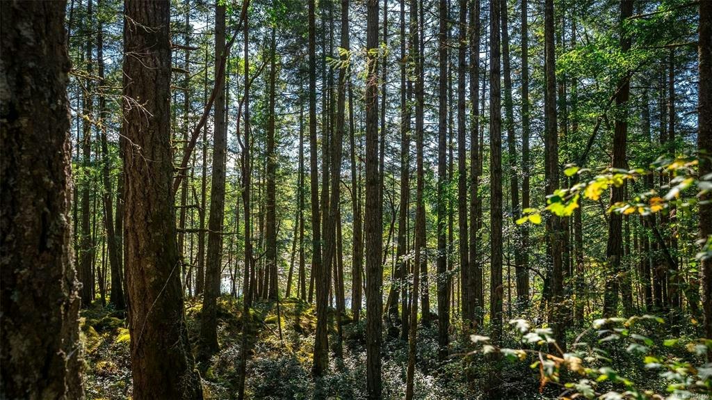 1870 Millstream Road, Highlands, BC, V9B 6E2 - 25