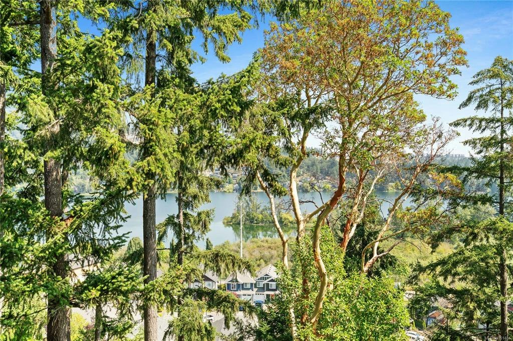 313-1145 Sikorsky Road, Langford, BC, V9B 0M8 - 18