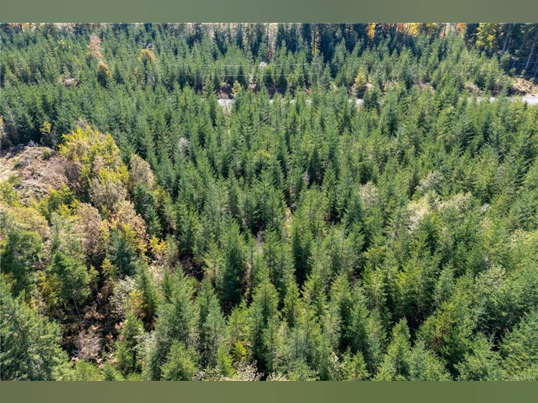 Lot B Chantrelle Way, Campbell River, BC, V9H 1B1 - 13