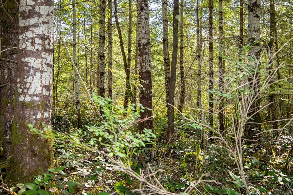 Lot B Chantrelle Way, Campbell River, BC, V9H 1B1 - 8
