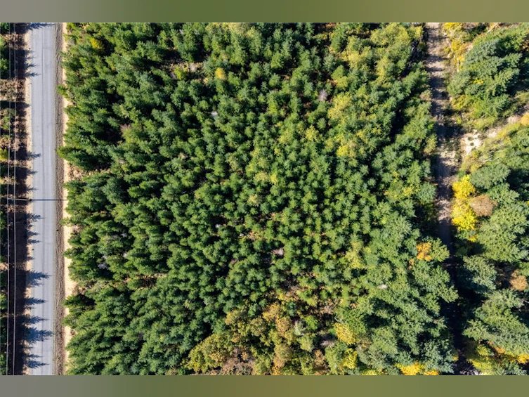 Lot B Chantrelle Way, Campbell River, BC, V9H 1B1 - 14