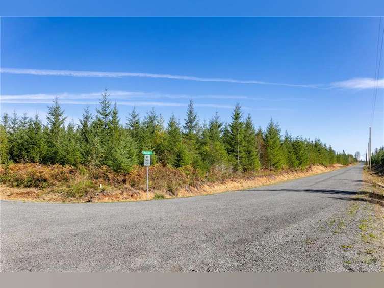 Lot B Chantrelle Way, Campbell River, BC, V9H 1B1 - 11