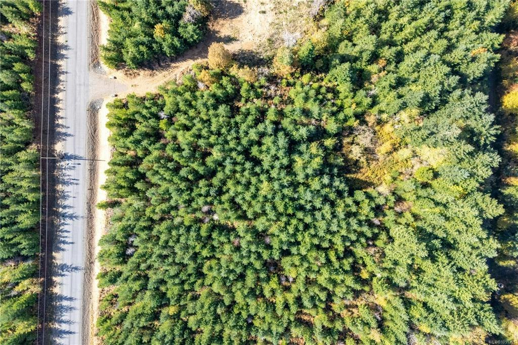 Lot D Chantrelle Way, Campbell River, BC, V9H 1B1 - 13