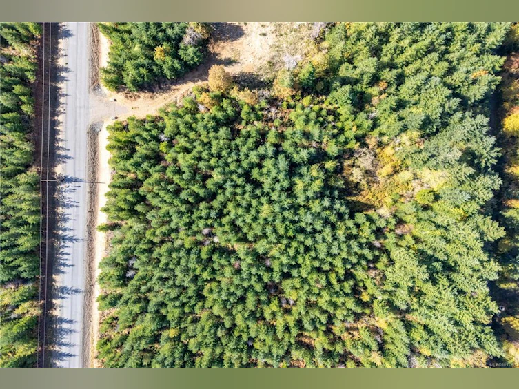 Lot D Chantrelle Way, Campbell River, BC, V9H 1B1 - 13