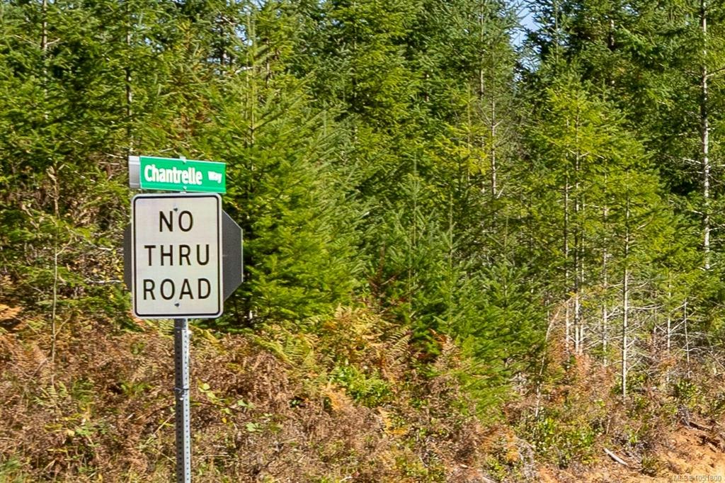 Lot H Chantrelle Way, Campbell River, BC, V9H 1B1 - 9