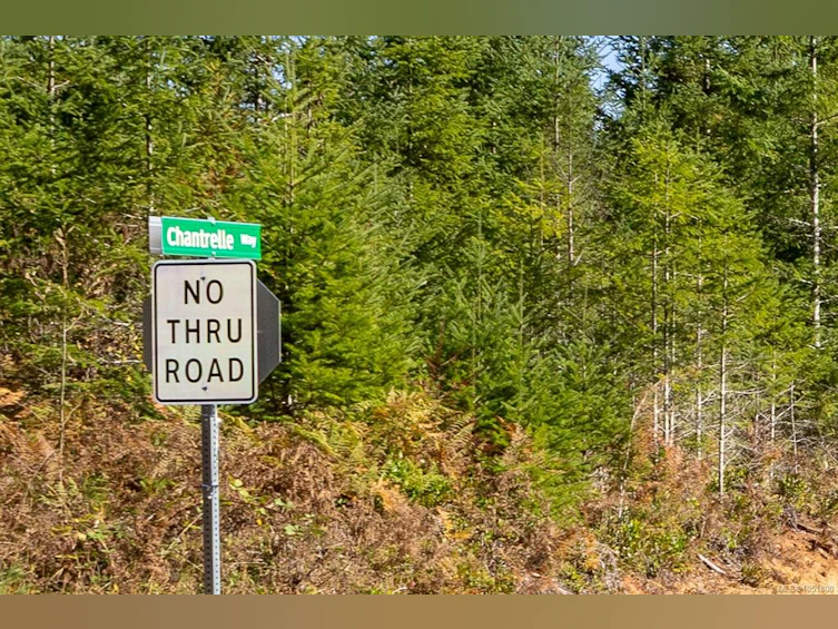 Lot H Chantrelle Way, Campbell River, BC, V9H 1B1 - 9