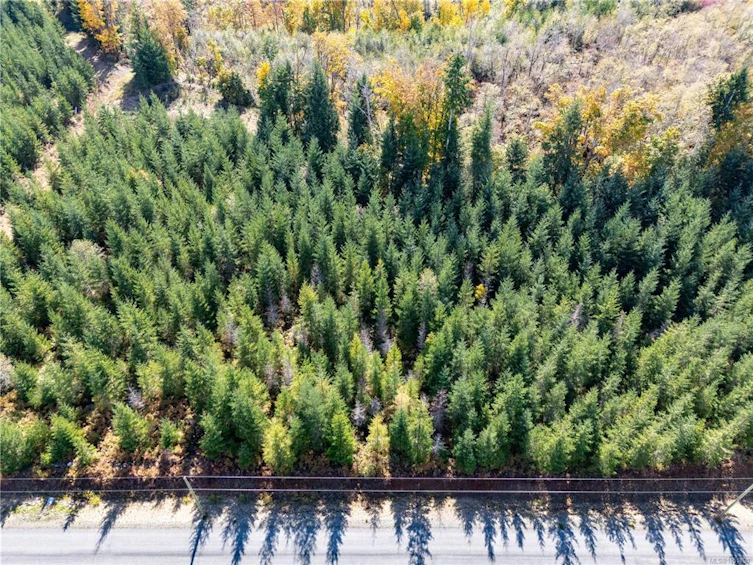 Lot H Chantrelle Way, Campbell River, BC, V9H 1B1 - 12