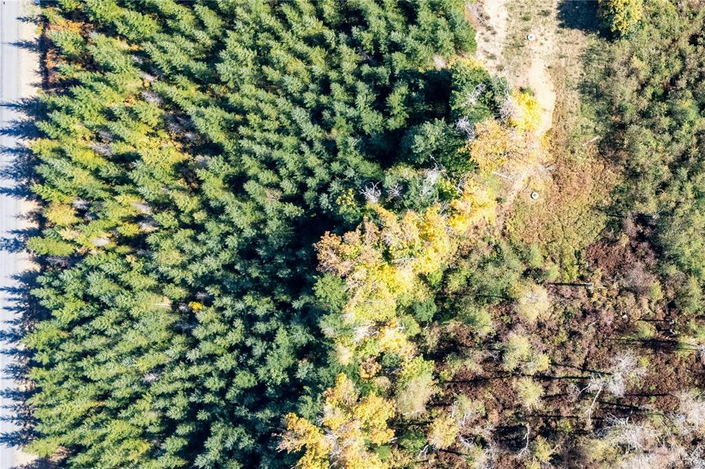 Lot H Chantrelle Way, Campbell River, BC, V9H 1B1 - 13