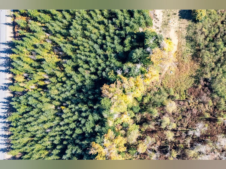 Lot H Chantrelle Way, Campbell River, BC, V9H 1B1 - 13
