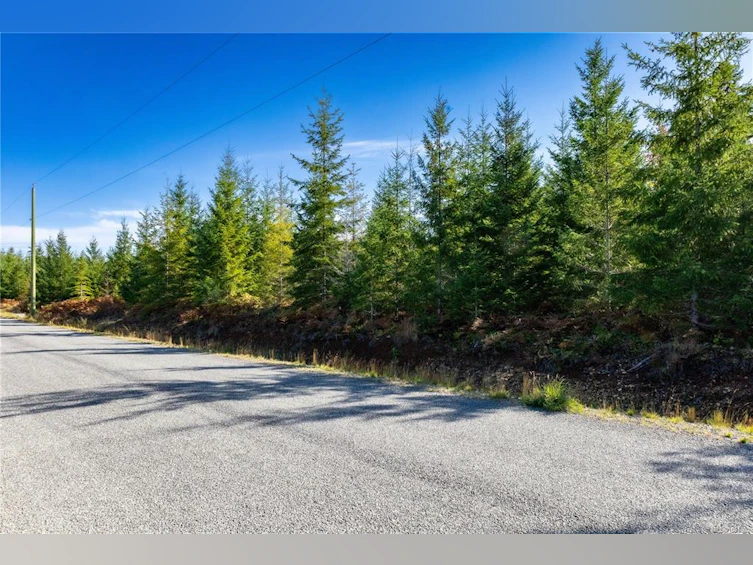 Lot H Chantrelle Way, Campbell River, BC, V9H 1B1 - 4