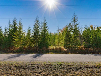 Lot H Chantrelle Way - 3