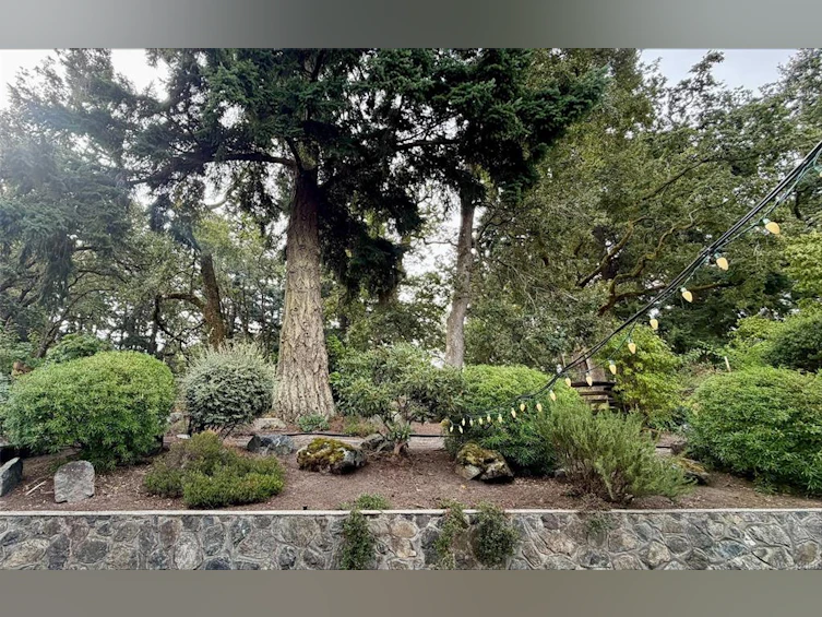 809 Rogers Way, Saanich, BC, V8X 5L1 - 37