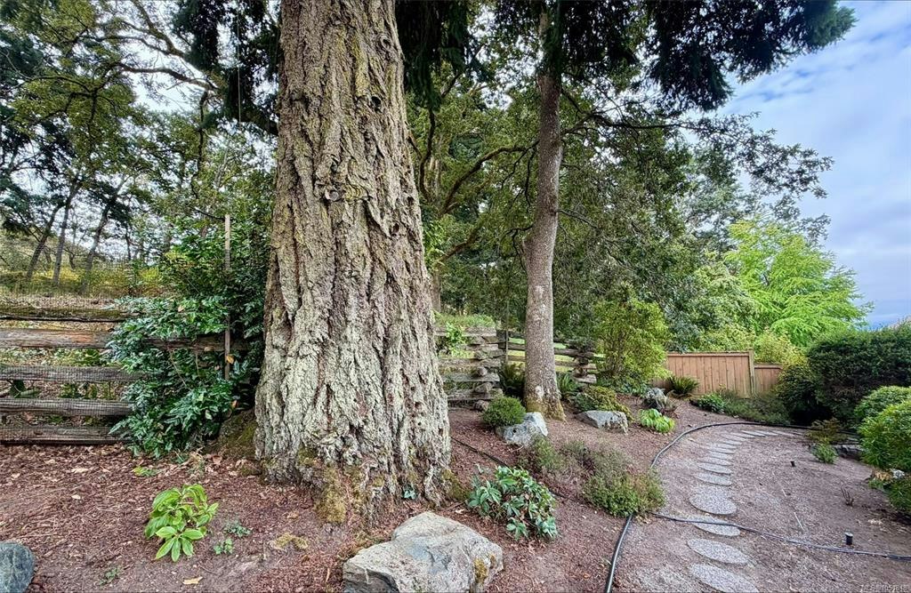 809 Rogers Way, Saanich, BC, V8X 5L1 - 35