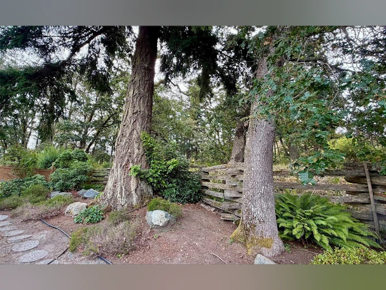 809 Rogers Way, Saanich, BC, V8X 5L1 - 36