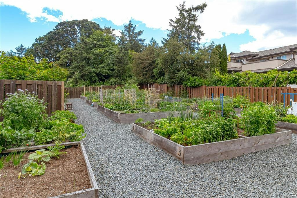 303-741 Travino Lane, Saanich, BC, V8Z 0G3 - 34