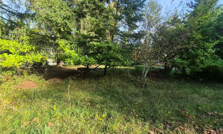 2530 Macaulay Road