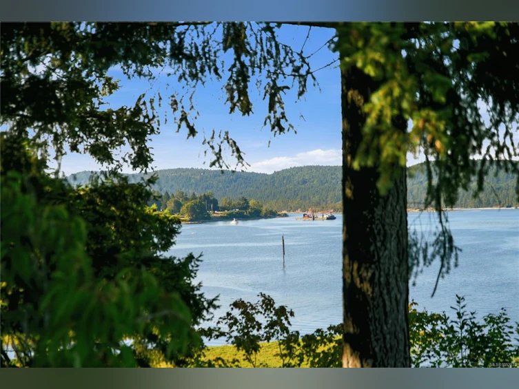 312 Roland Road, Ladysmith, BC, V9G 1X8 - 40