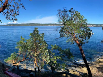 Lot 37 Ruxton Island - 3