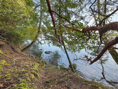 706 Horton Bay Road - 4