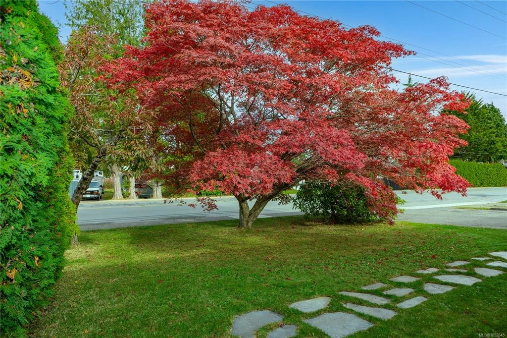 133 Hilchey Road - 5