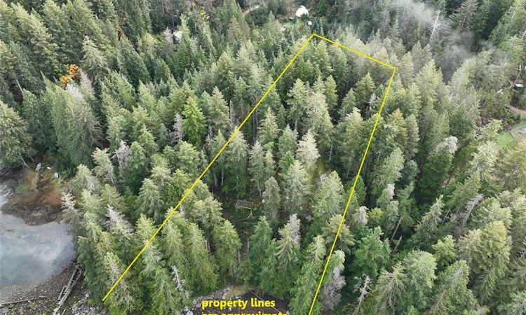 Lot 42 Sonora Island