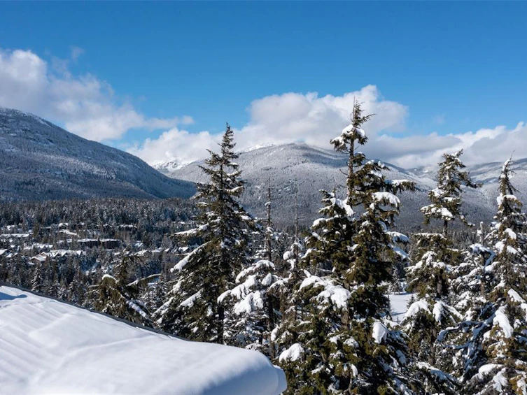 3856 Sunridge Court, Whistler, BC, V8E 0W1 - 17