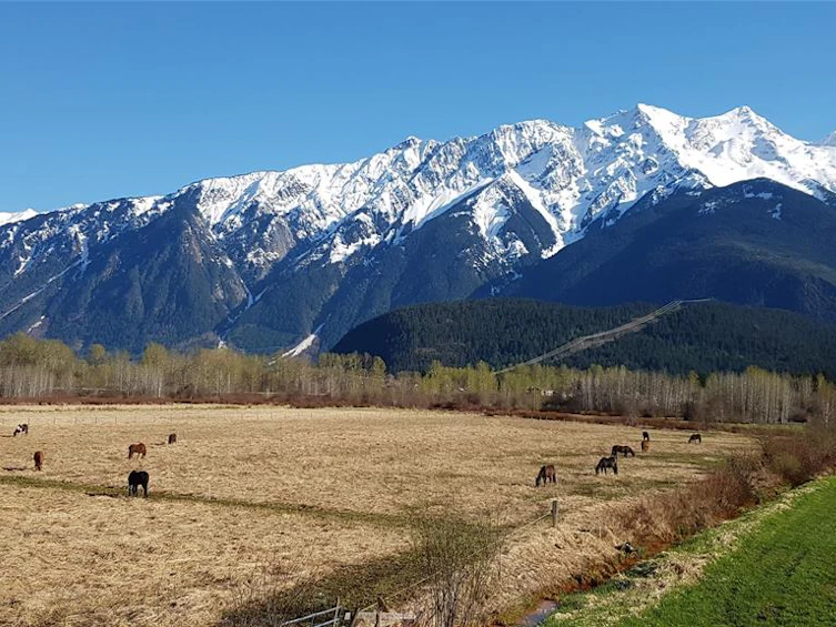 1380 Collins Road, Pemberton, BC, V0N 2L0 - 27