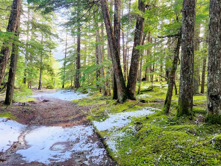 3363 Highway 99, Whistler, BC, V0N 1B0 - 3