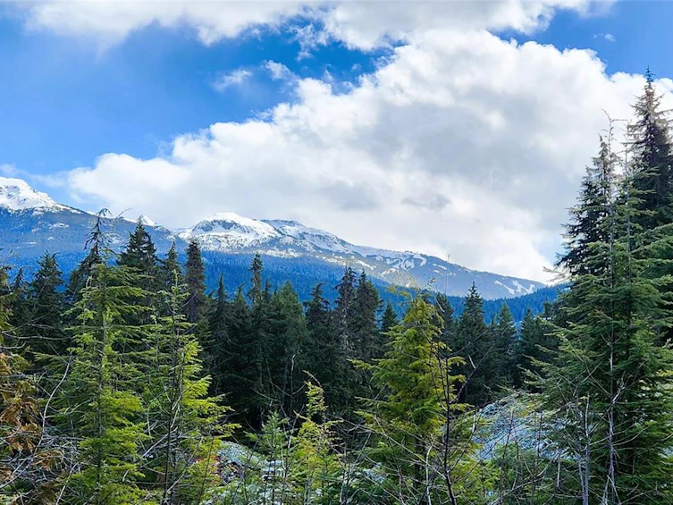 3363 Highway 99, Whistler, BC, V0N 1B0 - 4