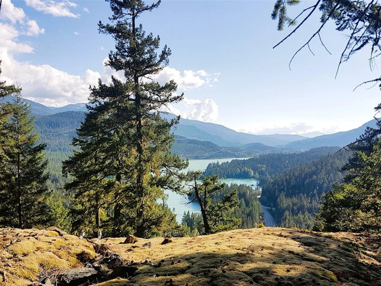 3363 Highway 99, Whistler, BC, V0N 1B0 - 10