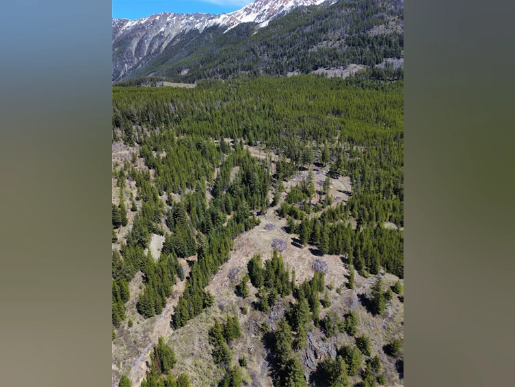 673 Dl673, Pemberton, BC, V0K 1P0 - 4