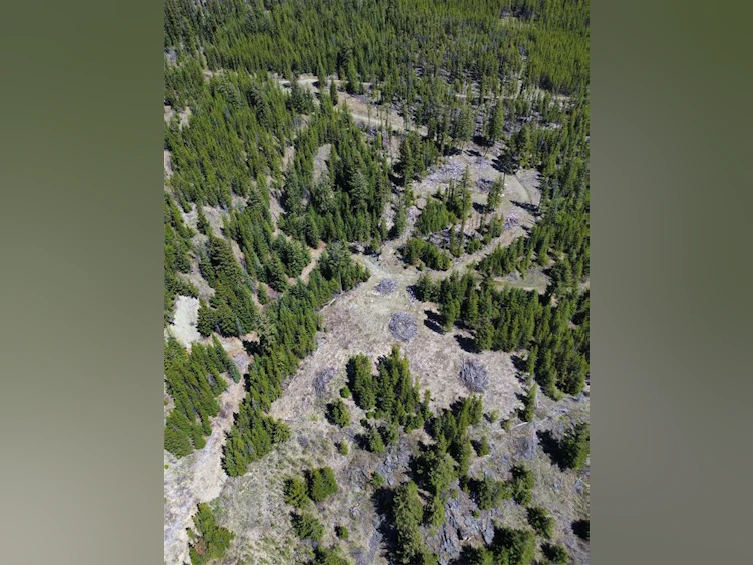 673 Dl673, Pemberton, BC, V0K 1P0 - 5