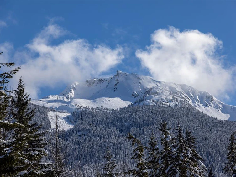 114-2222 Castle Drive, Whistler, BC, V8E 0L7 - 25