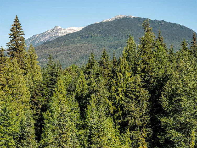 43-4617 Blackcomb Way, Whistler, BC, V8E 0Y4 - 9