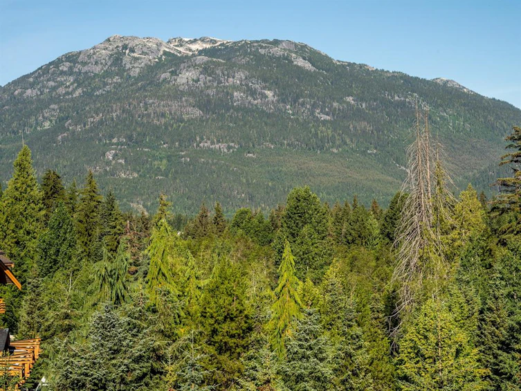 43-4617 Blackcomb Way, Whistler, BC, V8E 0Y4 - 14