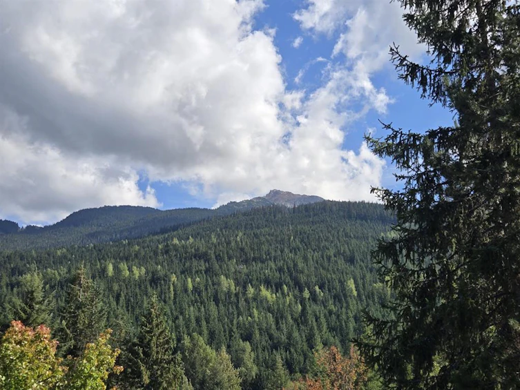 4-2173 Timber Ridge, Whistler, BC, V8E 0A8 - 14