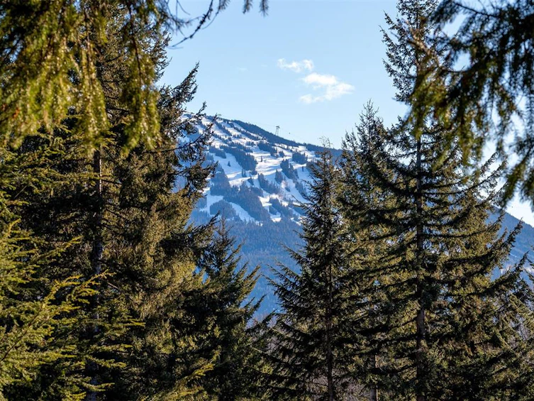 8239 Mountain View Drive, Whistler, BC, V8E 0G3 - 15