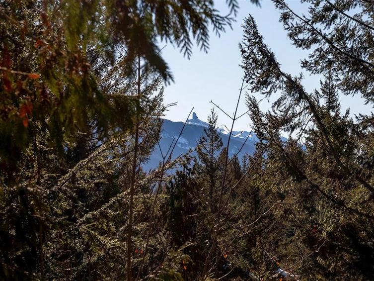 8239 Mountain View Drive, Whistler, BC, V8E 0G3 - 16