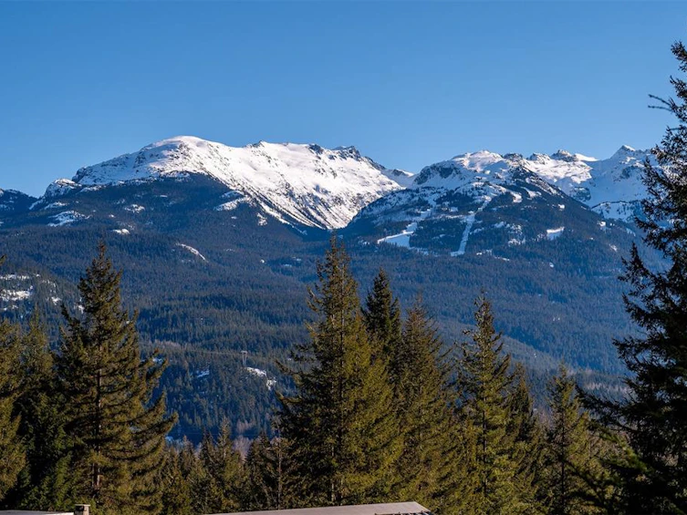 8239 Mountain View Drive, Whistler, BC, V8E 0G3 - 17