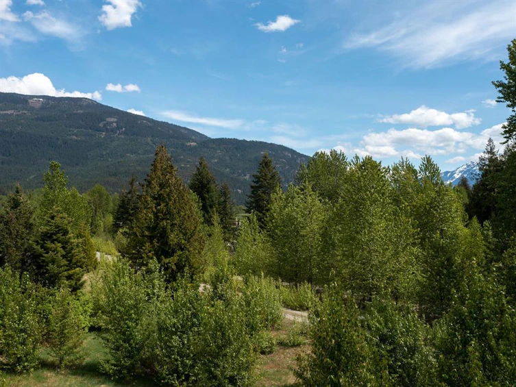 1078 Cedar Grove Road, Pemberton, BC, V0N 2L2 - 12