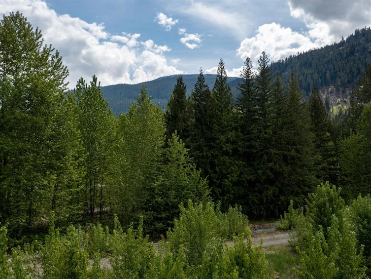 1078 Cedar Grove Road, Pemberton, BC, V0N 2L2 - 14