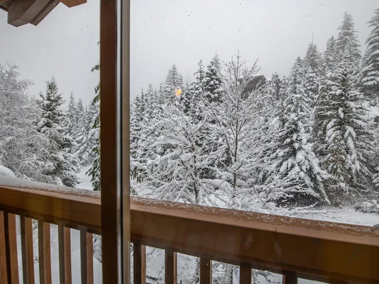 1-2301 Taluswood Place, Whistler, BC, V8E 0P8 - 19