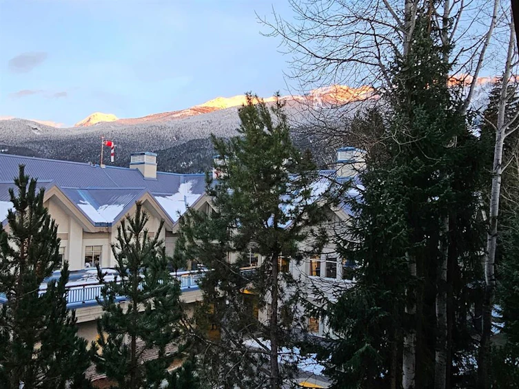 307-4360 Lorimer Road, Whistler, BC, V8E 1A5 - 12