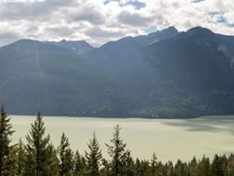 143 Lot 143 In Shuck Ch Forest Service Road, Pemberton, BC, V0N 2K2 - 10