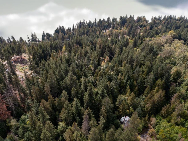 143 Lot 143 In Shuck Ch Forest Service Road, Pemberton, BC, V0N 2K2 - 13