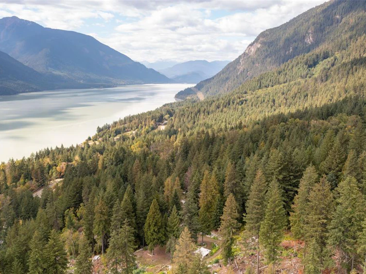 143 Lot 143 In Shuck Ch Forest Service Road, Pemberton, BC, V0N 2K2 - 15