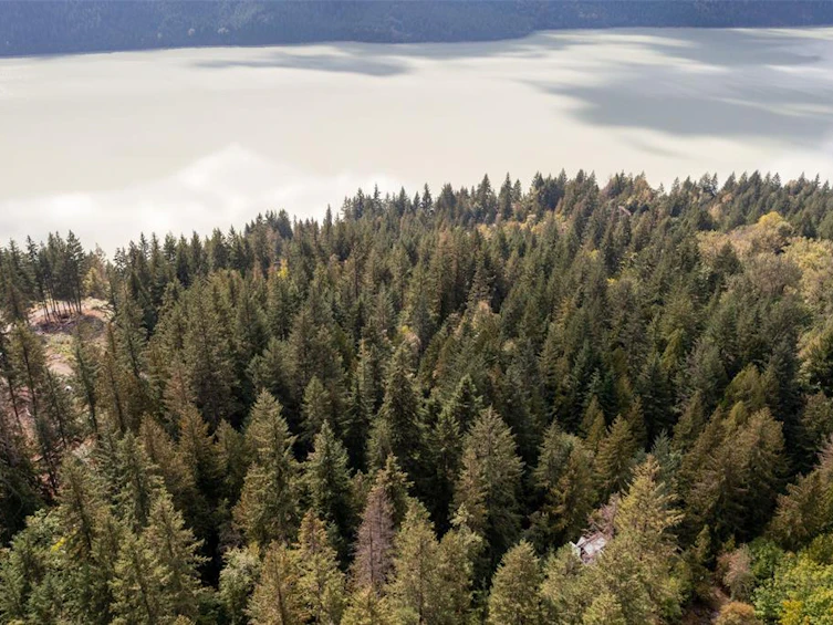 143 Lot 143 In Shuck Ch Forest Service Road, Pemberton, BC, V0N 2K2 - 16